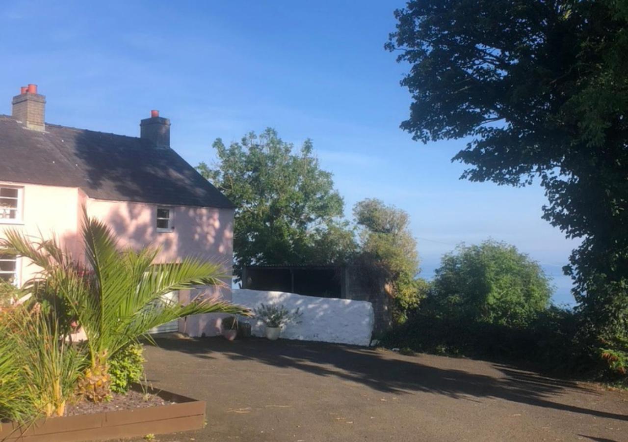 The Pink Cottage Upstairs Suite & Garden Summer Room Whitehead المظهر الخارجي الصورة