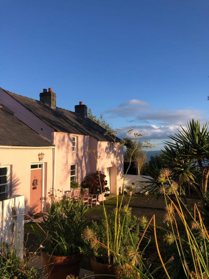 The Pink Cottage Upstairs Suite & Garden Summer Room Whitehead المظهر الخارجي الصورة