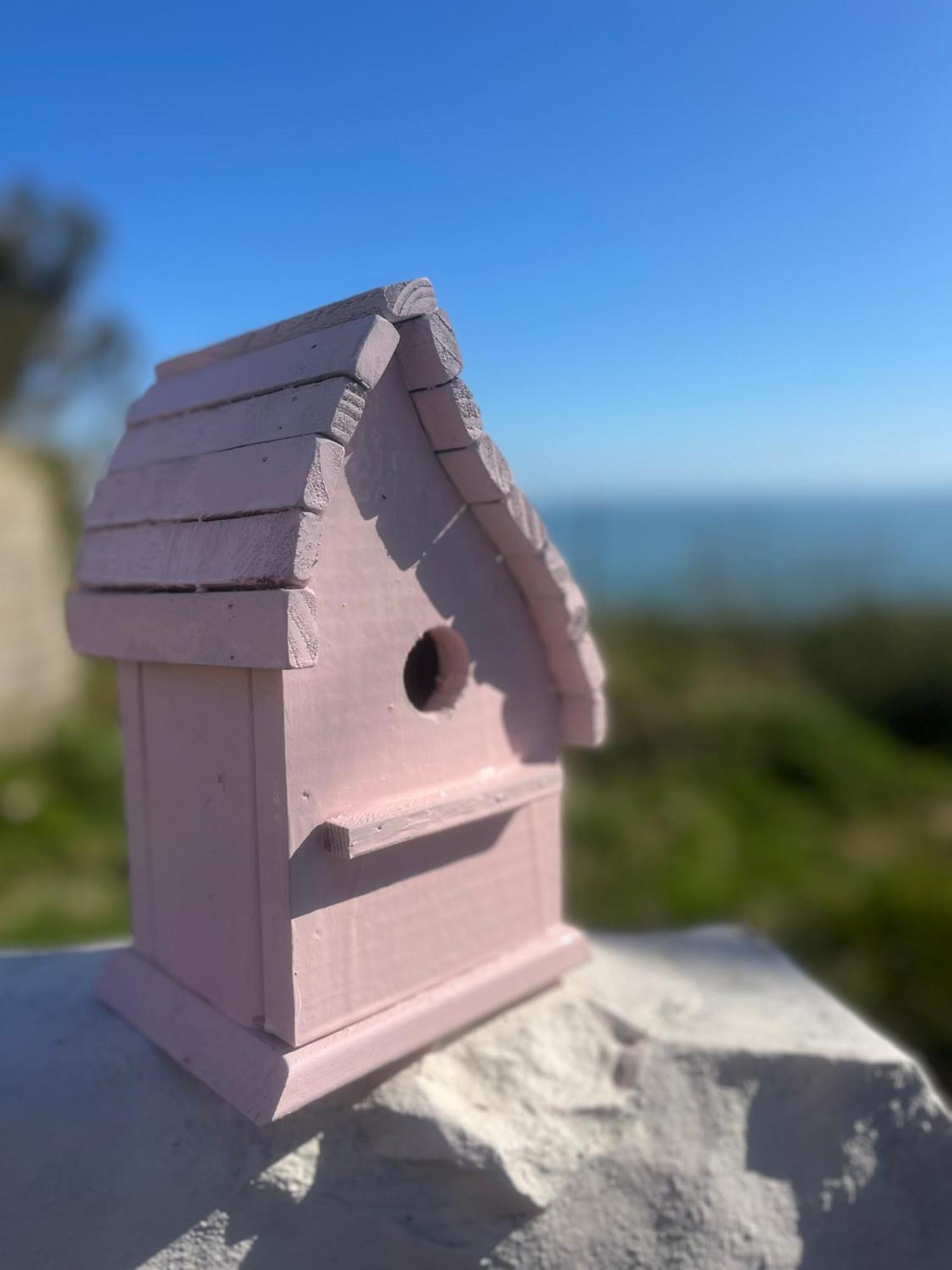 The Pink Cottage Upstairs Suite & Garden Summer Room Whitehead المظهر الخارجي الصورة